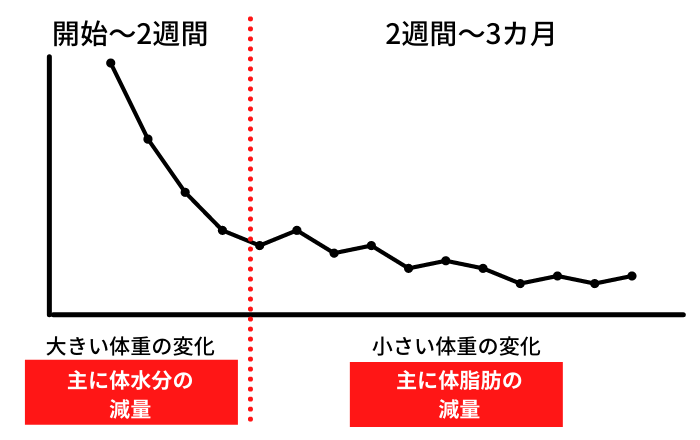 ダイエット最初の2週間経過 今までの体重の変化の理由とこれから気を付けること 新宿南口のパーソナルトレーニングジム Yoshida Gym